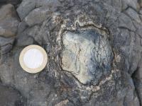 Albums/20060200-New Zealand 2006/20060313-Catlins/32